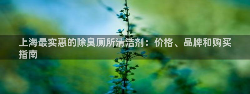 尊龙平台有谁玩过
