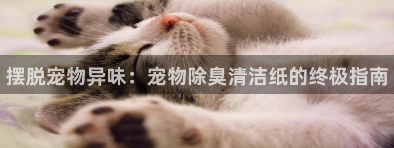 尊龙/人生就是博：摆脱宠物异味：宠物除臭清洁纸的终极指南