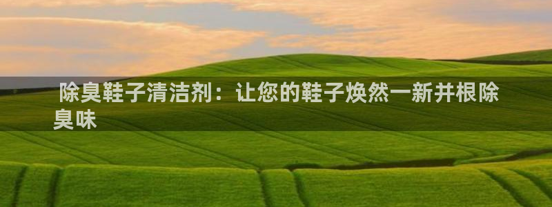 尊龙官网网页版