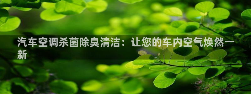 尊龙网站下分慢：汽车空调杀菌除臭清洁：让您的车内空气焕然
