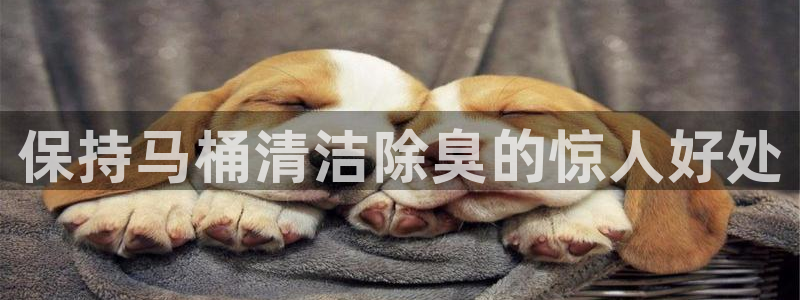 尊龙d88现金关注ag发财网：保持马桶清洁除臭的惊人好处