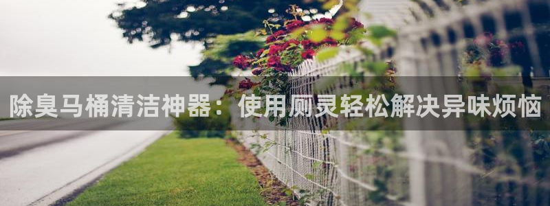 尊龙旗舰app：除臭马桶清洁神器：使用厕灵轻松解决异味烦