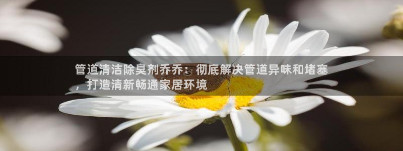 凯时国际最新：管道清