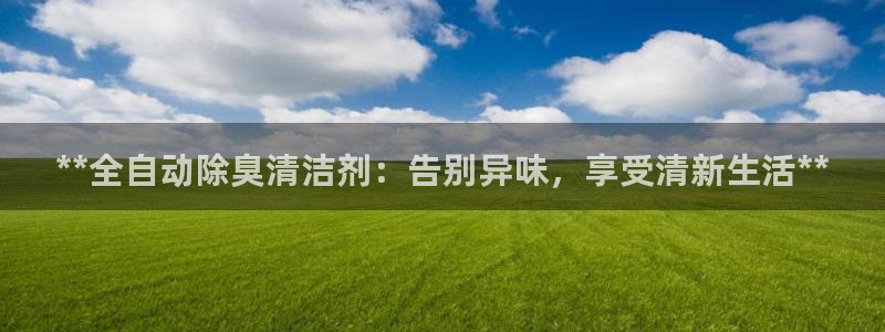 尊龙凯时输了100万：**全自动除臭清洁剂：告别异味，享