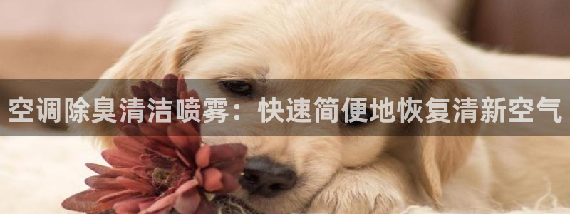 尊龙凯时防屏蔽网址
