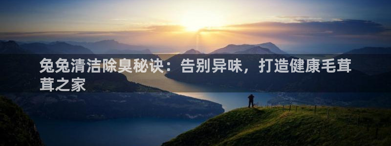 ag旗舰平台尊龙代言：兔兔清洁除臭秘诀：告别异味，打造健