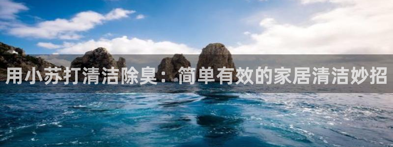 凯时尊龙平台登录：用小苏打清洁除臭：简单有效的家居清洁妙