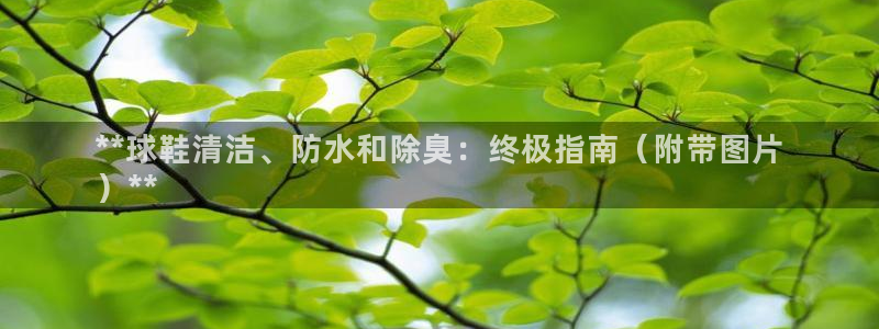 凯时国际app首页下载：**球鞋清洁、防水和除臭：终极指