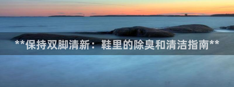尊龙凯时ag旗舰厅官：**保持双脚清新：鞋里的除臭和清洁