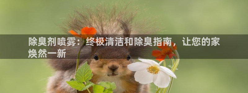 尊龙凯时白家乐Abb下载：除臭剂喷雾：终极清洁和除臭指南