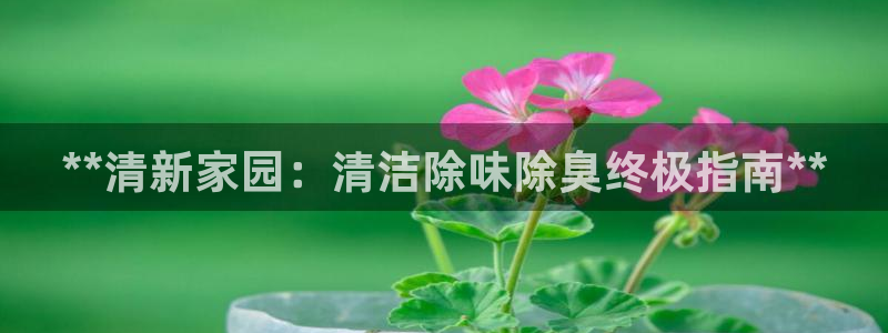 尊龙凯时ag旗舰厅试玩：**清新家园：清洁除味除臭终极指