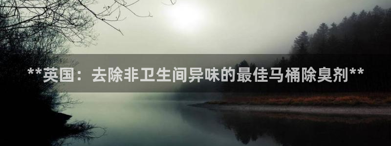 凯时在线平台官网：**英国：去除非卫生间异味的最佳马桶除