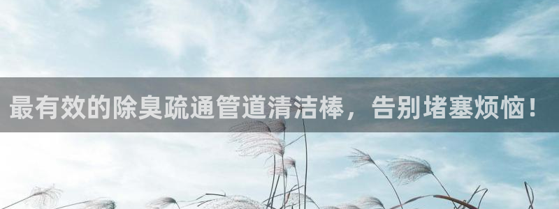 尊龙客服：最有效的除臭疏通管道清洁棒，告别堵塞烦恼！