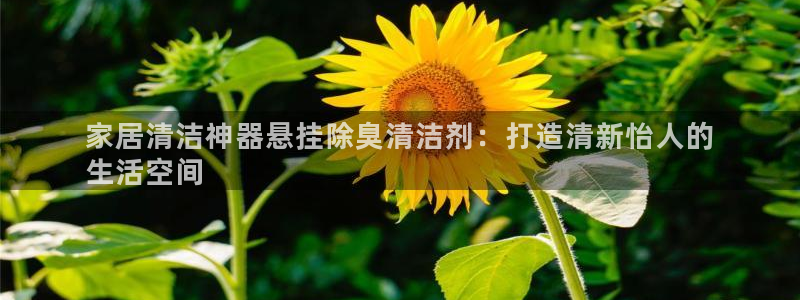 尊龙凯时人生就是搏首页：家居清洁神器悬挂除臭清洁剂：打造