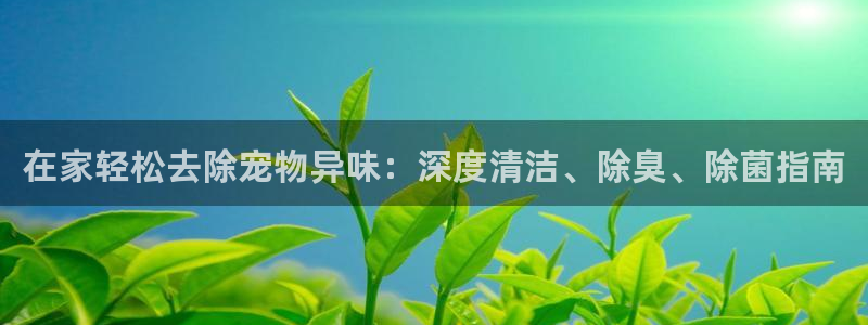 尊龙凯时登录：在家轻松去除宠物异味：深度清洁、除臭、除菌