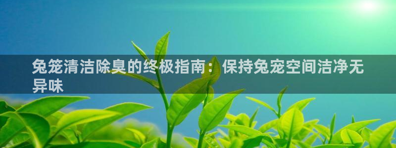 尊龙凯时人生就是搏技术实力
