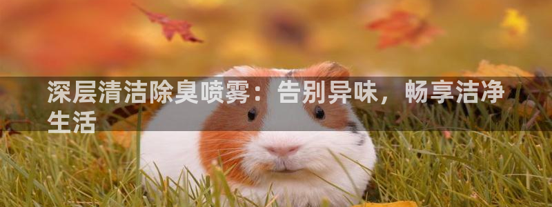 尊龙凯时app产品介绍：深层清洁除臭喷雾：告别异味，畅享