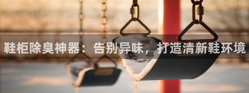 尊龙 10：鞋柜除臭