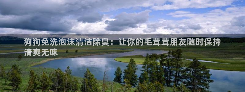 尊龙凯时是赌博嘛：狗狗免洗泡沫清洁除臭：让你的毛茸茸朋友