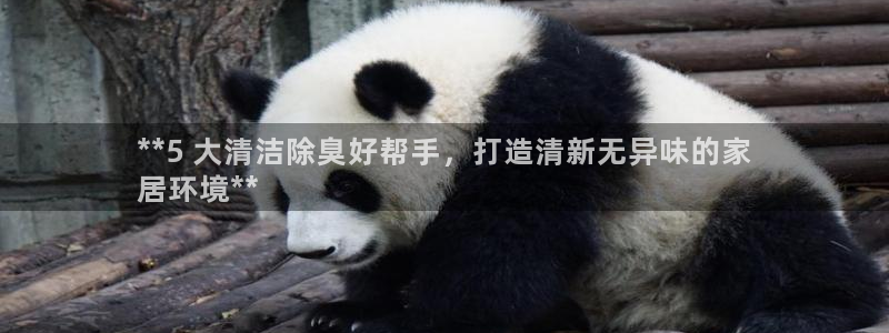 尊龙人生就是-首页：**5 大清洁除臭好帮手，打造清新无