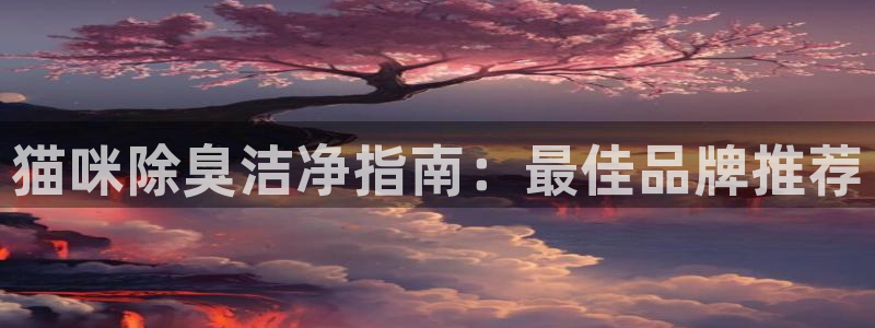 尊龙凯时干什么的：猫咪除臭洁净指南：最佳品牌推荐