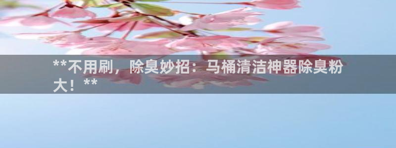 尊龙官方网站最新版V9.3.06介绍：**不用刷，除臭妙