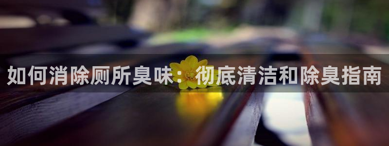 K66凯时国际平台官网：如何消除厕所臭味：彻底清洁和除臭