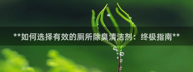 尊龙凯时ag旗舰：**如何选择有效的厕所除臭清洁剂：终极