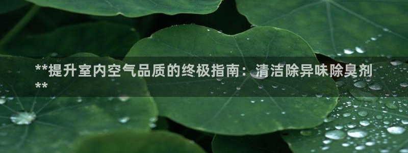 尊龙凯时平台还是万搏好：**提升室内空气品质的终极指南：