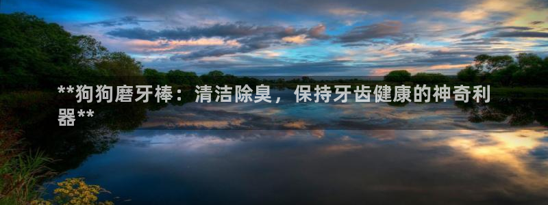 尊龙现金：**狗狗磨牙棒：清洁除臭，保持牙齿健康的神奇利