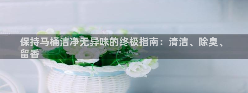 尊龙体育正规么：保持马桶洁净无异味的终极指南：清洁、除臭