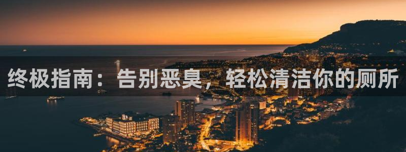 尊龙人生就是搏：终极指南：告别恶臭，轻松清洁你的厕所